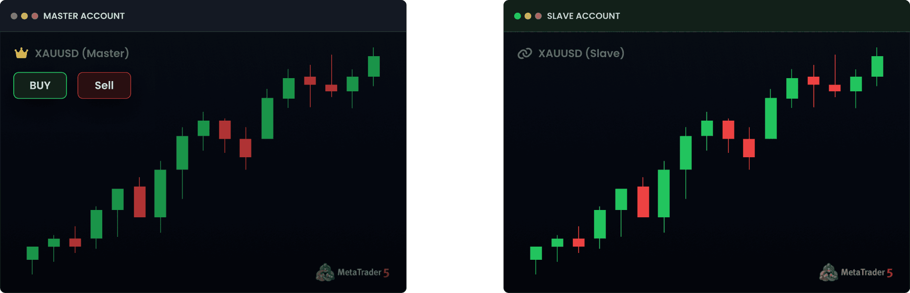 Fastest trade copier - Main account copying trades to sub-account